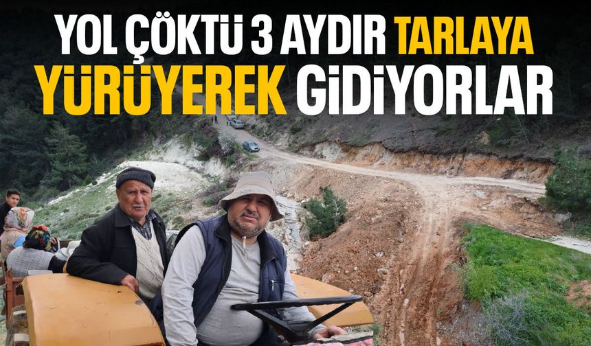 Manisa'da çöken yol eziyet oldu! Aylardır tarlaya yürüyerek gidiyorlar