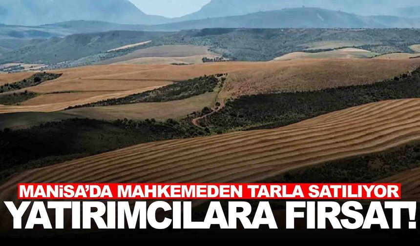 Manisa’da mahkemeden tarla satılıyor... 74 dönümlük arazinin fiyatı belli oldu!