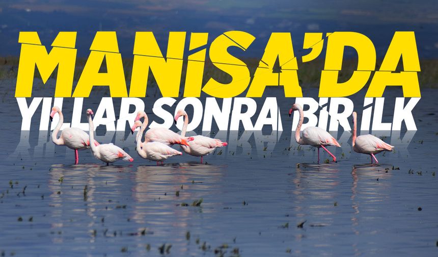 Manisa'da yıllar sonra bir ilk!