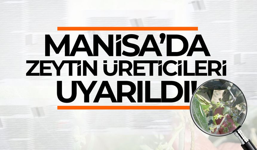 Manisa'da zeytin üreticileri uyarıldı