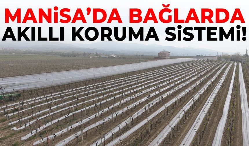 Manisa’da bağlarda akıllı koruma sistemi!