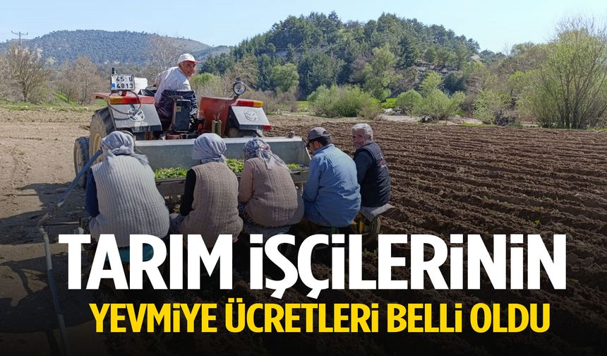Selendi’de tarım işçilerinin yevmiye ücretleri belli oldu