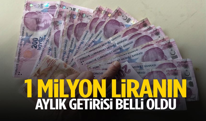 1 milyon liranın aylık getirisi belli oldu