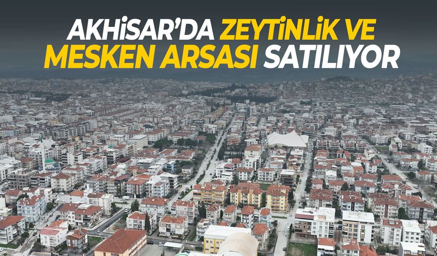 Akhisar’de zeytinlik ve mesken arsası satılıyor