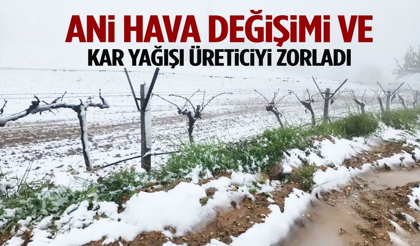 Ani hava değişimi ve kar yağışı ilçede üreticiyi zorladı!