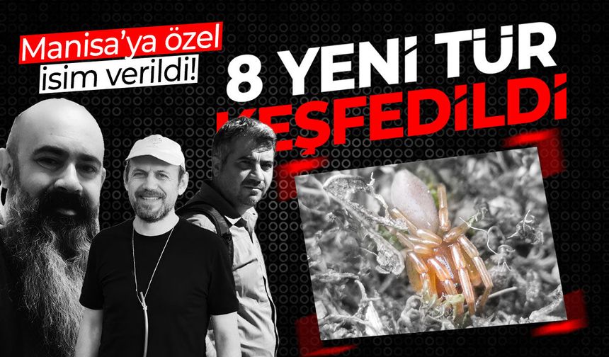 Ege Bölgesi'nde 8 yeni tür keşfedildi! Manisa'ya özel isim verildi...