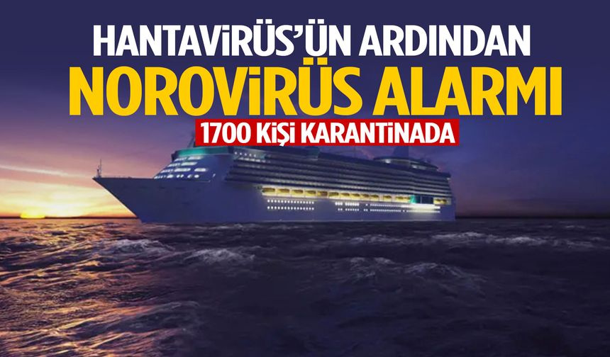 Hantavirüs’ün ardından Norovirüs! 1700 kişi karantinada