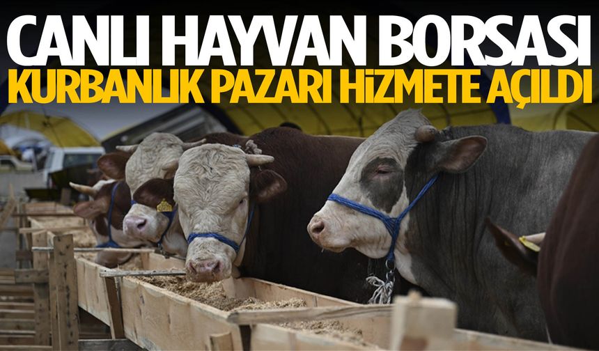 Canlı Hayvan Borsası Kurbanlık Pazarı hizmete açıldı
