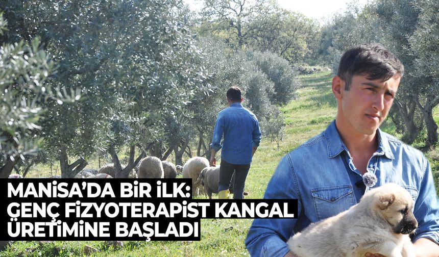 Manisa’da bir ilk: Genç fizyoterapist Kangal üretimine başladı