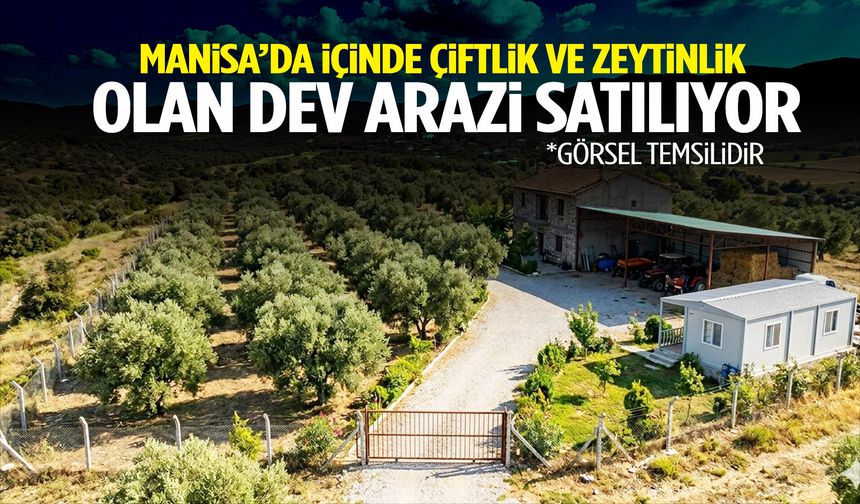 Manisa’da içinde çiftlik ve zeytinlik olan dev arazi satılıyor!