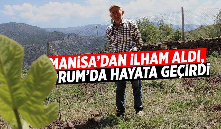 Manisa’dan ilham aldı, Çorum’da hayata geçirdi