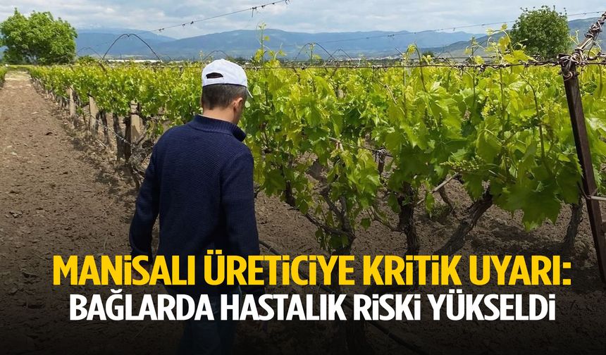 Manisalı üreticiye uyarı: Bağlarda hastalık riski yükseldi!