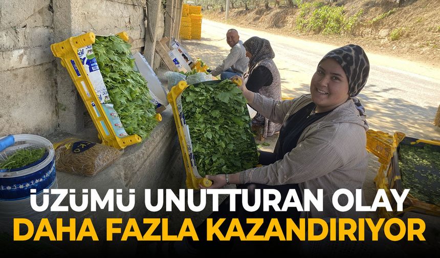 Manisalılara üzümü unutturan gelişme! Daha fazla kazandırıyor...