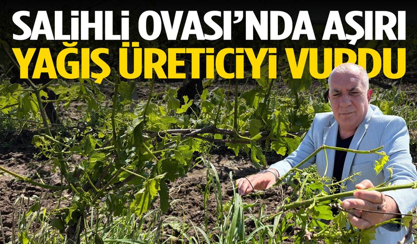 Salihli Ovası’nda aşırı yağış üreticiyi vurdu!