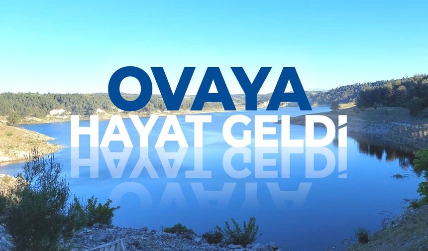 Sarıgöl Ovası'na hayat geldi
