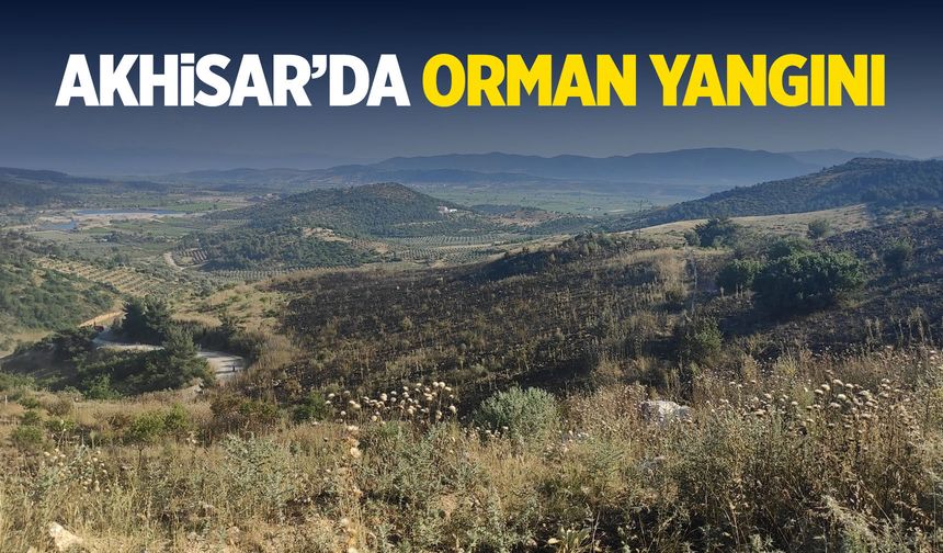 Akhisar'da orman yangını korkuttu!