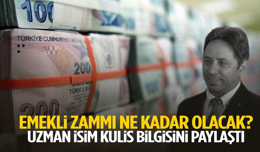 Emekli zammı ne kadar olacak? Uzman isim kulis bilgisini paylaştı!