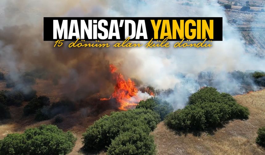 Manisa'da orman yangını korkuttu!