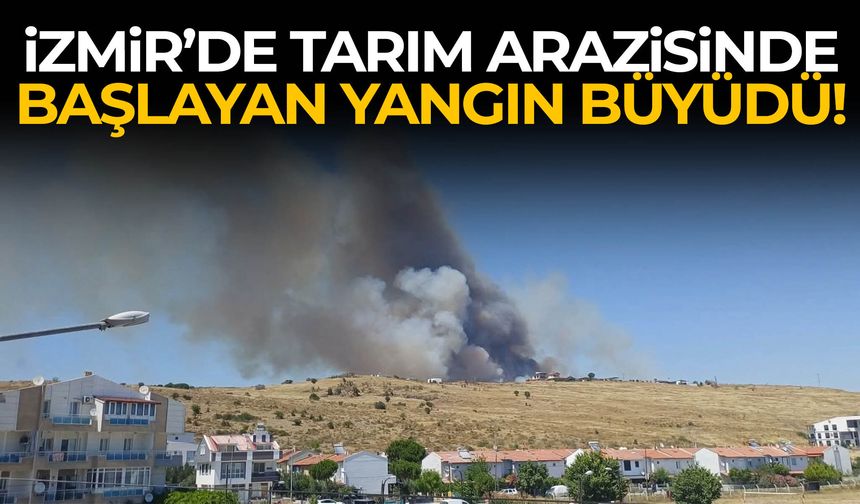 İzmir’de tarım arazisinde başlayan yangın büyüdü!
