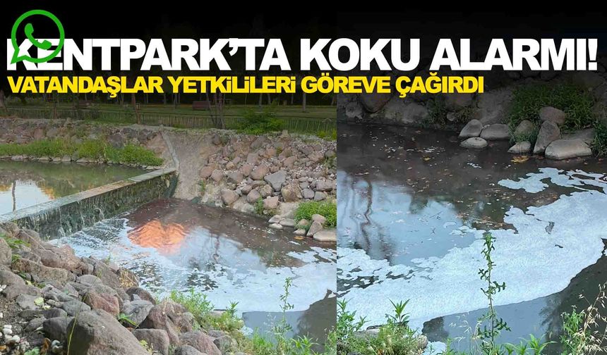 Kentpark’dan geçen dere kokuyor! Vatandaş çözüm bekliyor!
