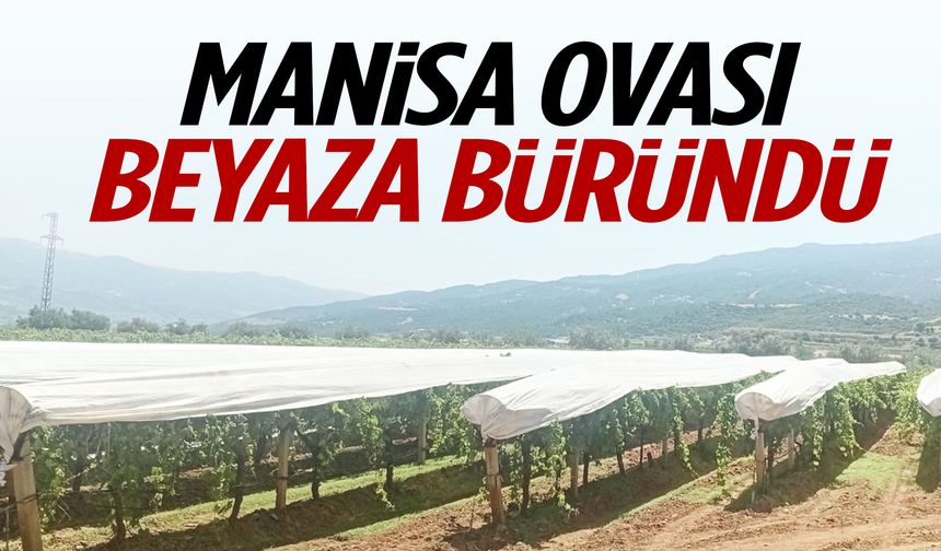 Manisa Ovası beyaza büründü! Mesai başladı…