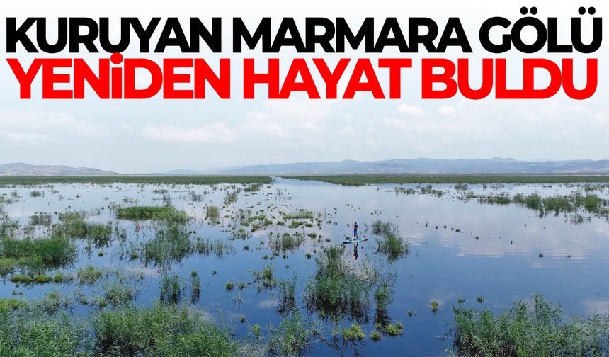 Marmara Gölü yeniden hayat buldu