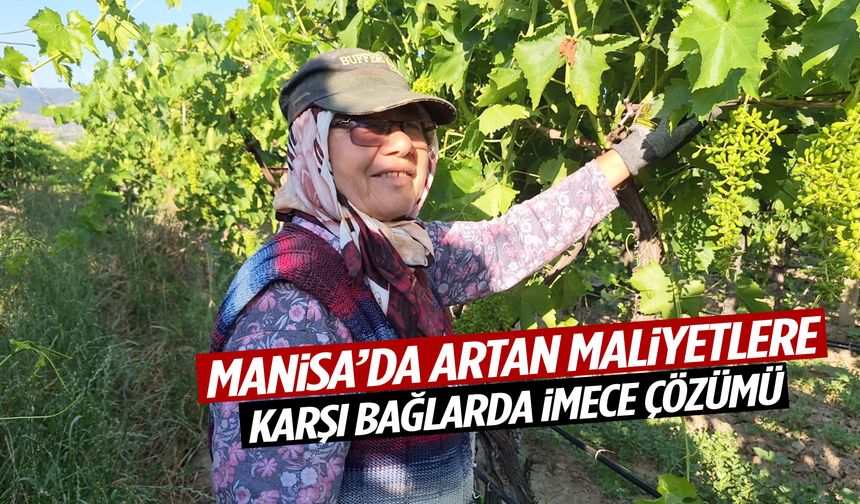 Manisa’da artan maliyetlere karşı bağlarda imece çözümü!