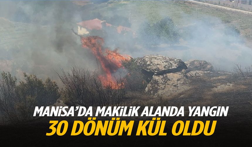 Manisa’da makilik alan alevlere teslim oldu!