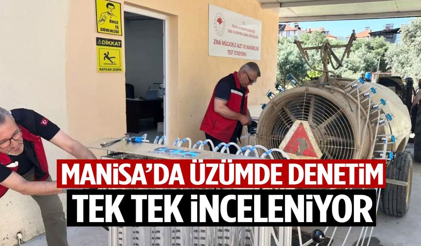 Manisa’da üzümde denetim! Tek tek inceleniyor