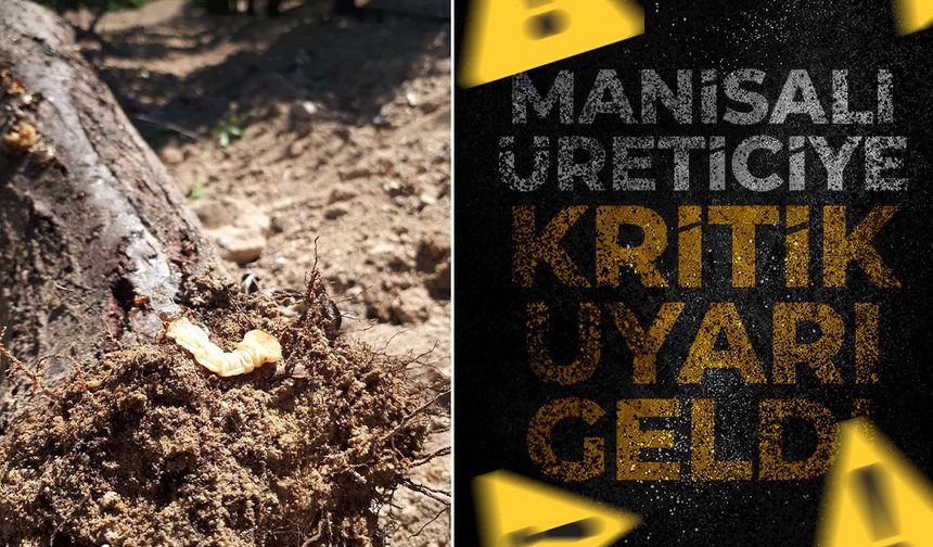 Manisalı üreticiye kritik uyarı geldi!