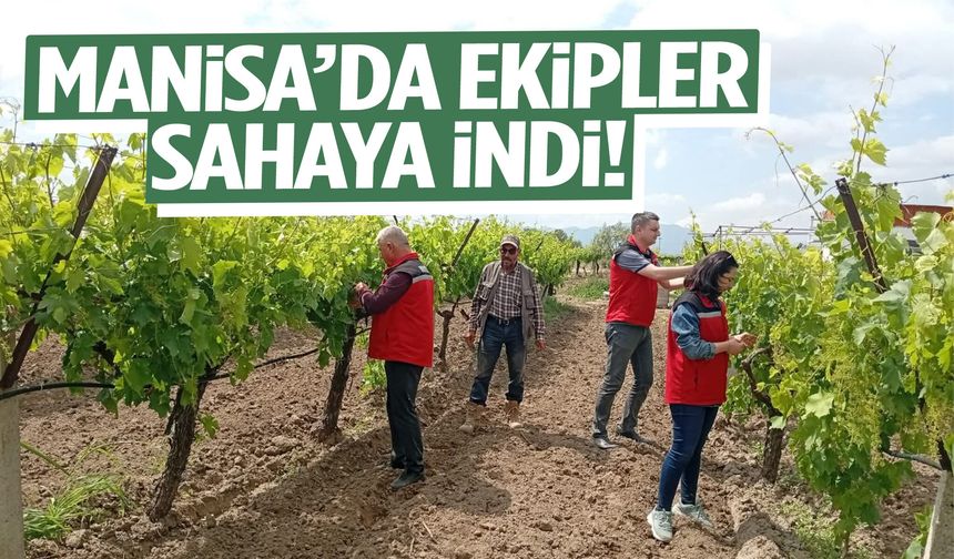Manisa’da ekipler sahaya indi!