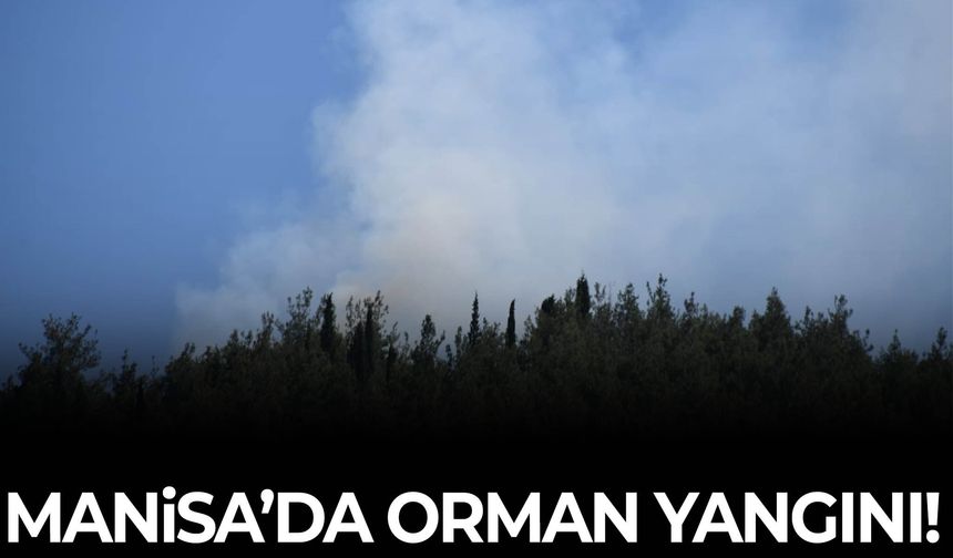 Manisa’da ormanlık alanda yangın çıktı!