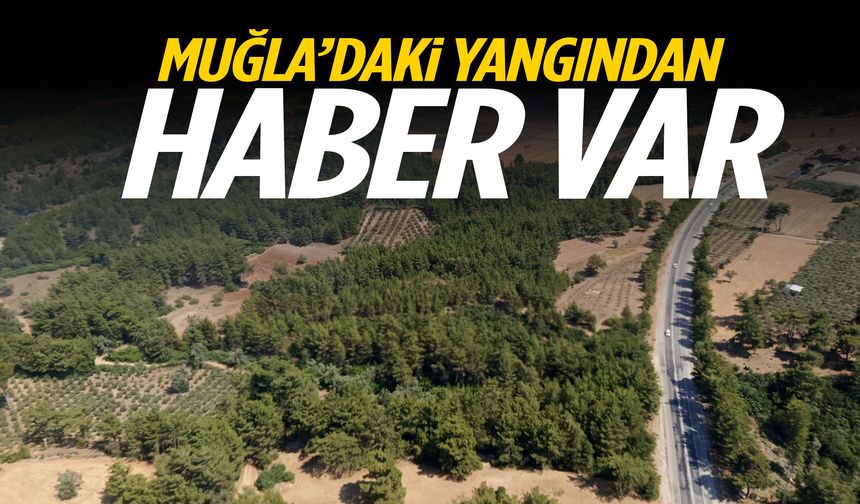 Muğla’daki yangından haber var!