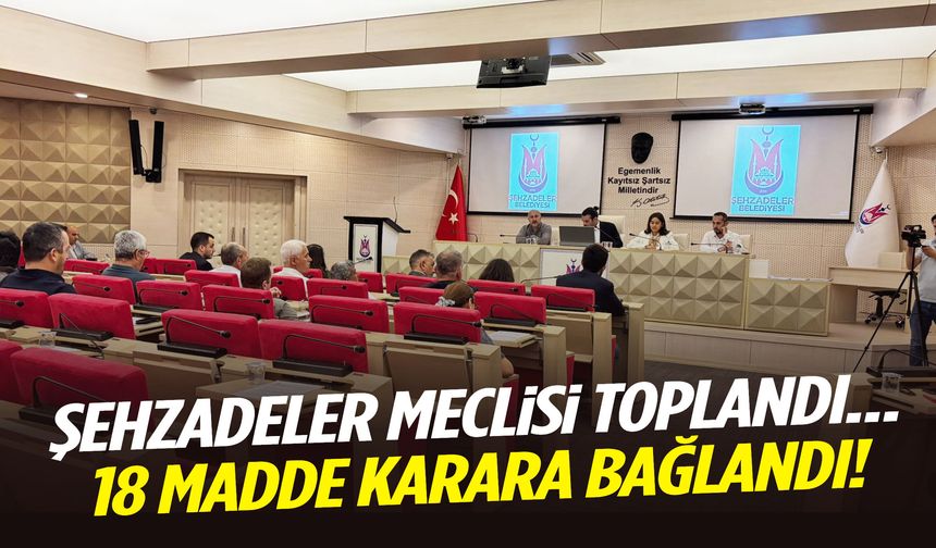 Şehzadeler meclisi toplandı… 18 madde karara bağlandı!
