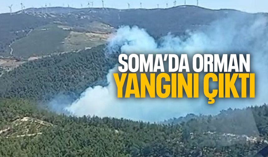 Soma'da orman yangını çıktı!