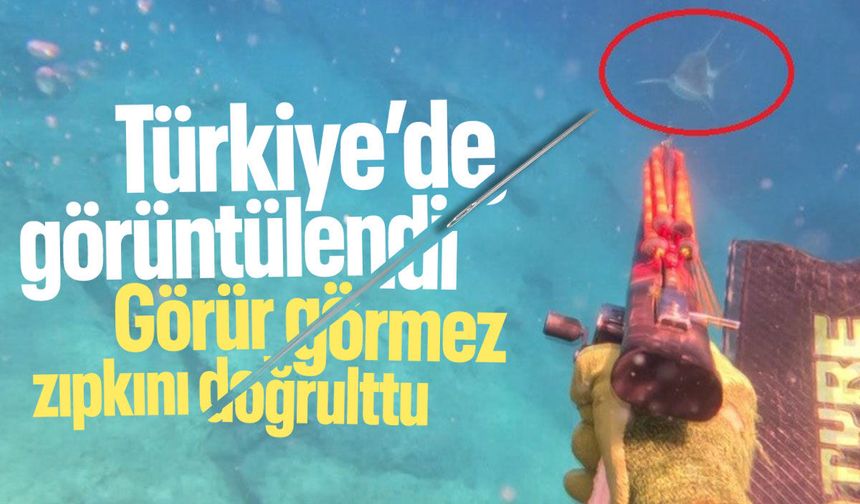 Türkiye'de görüntülendi! Görür görmez zıpkını doğrulttu