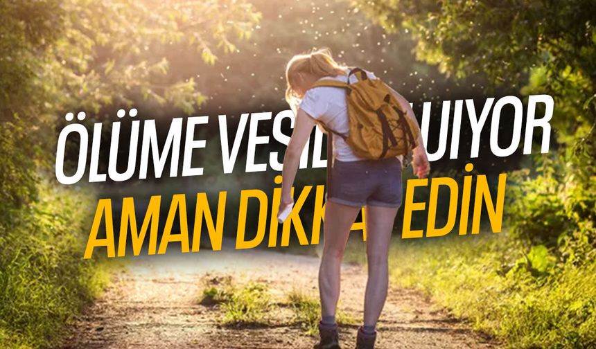 Yaz aylarının kabusu geri döndü!