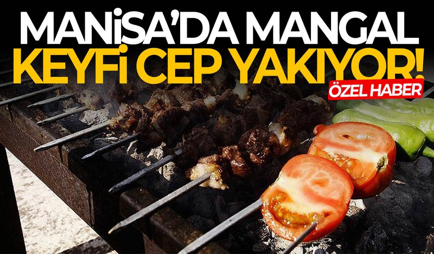 Manisa’da mangal keyfi cep yakıyor!