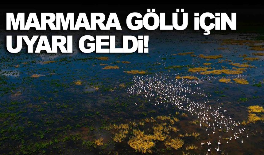 Yeniden hayat bulmuştu... Marmara Gölü için uyarı geldi!