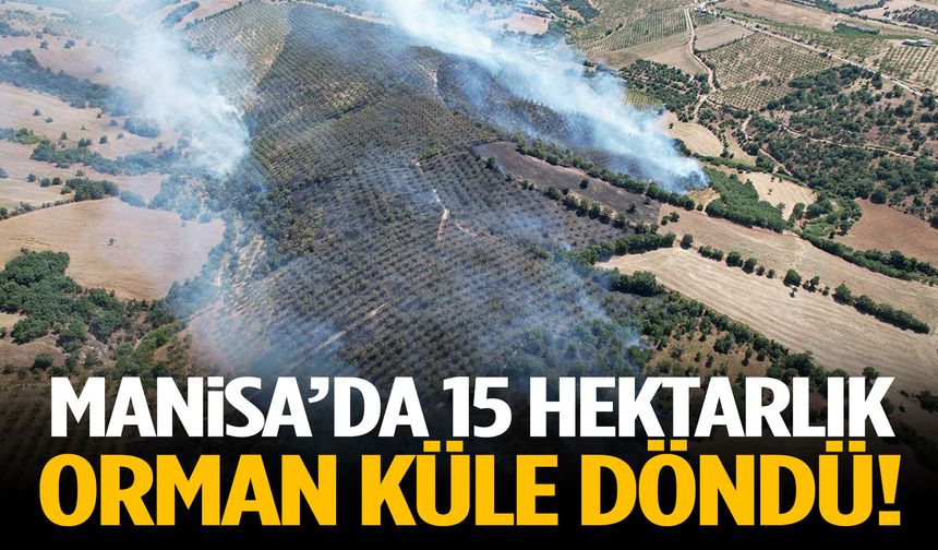 Manisa’da 15 hektarlık orman kül oldu!