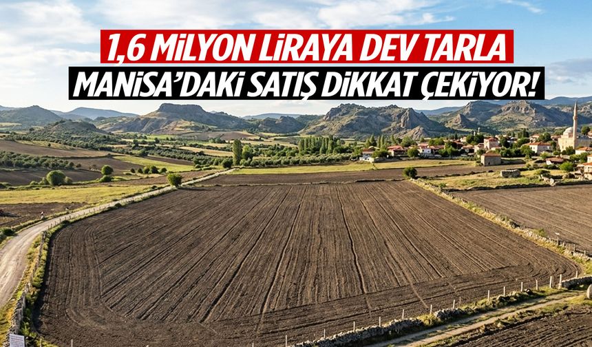 1,6 milyon liraya dev tarla... Manisa'daki satış dikkat çekiyor!