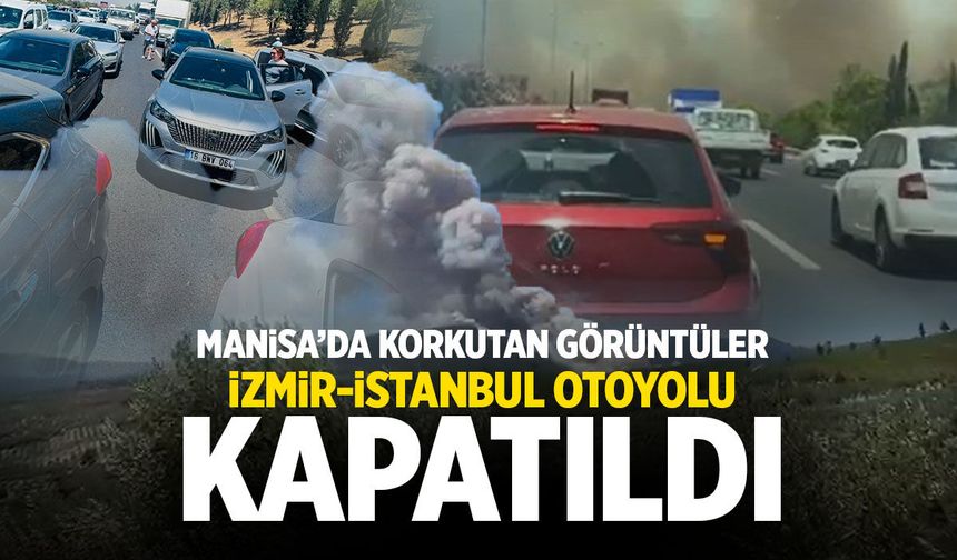 Manisa'da orman yangını: İzmir-İstanbul Otoyolu kapatıldı