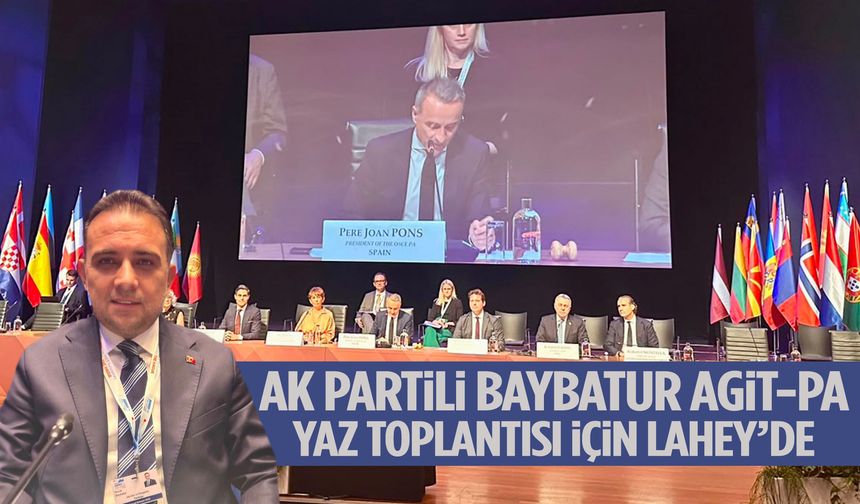 AK Partili Baybatur AGİT-Pa yaz toplantısı için Lahey’de!