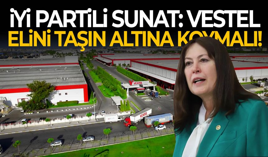 İYİ Partili Sunat: Vestel elini taşın altına koymalı!