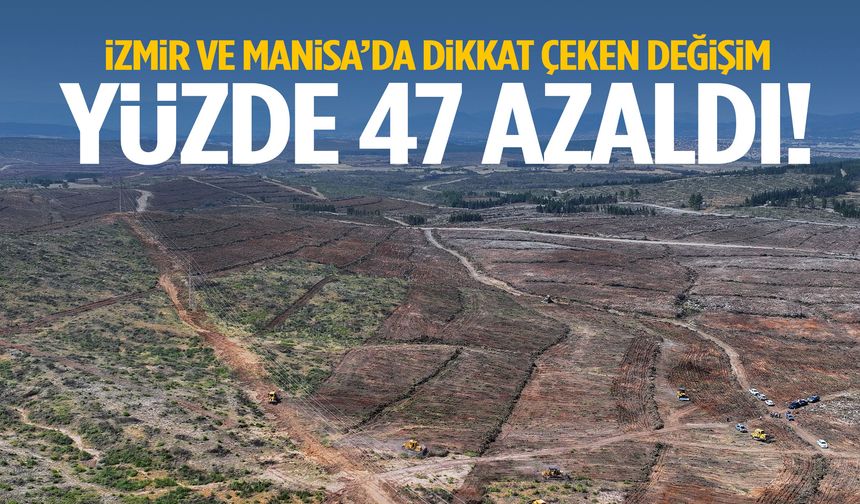 İzmir ve Manisa’da dikkat çeken değişim! Yüzde 47 azaldı