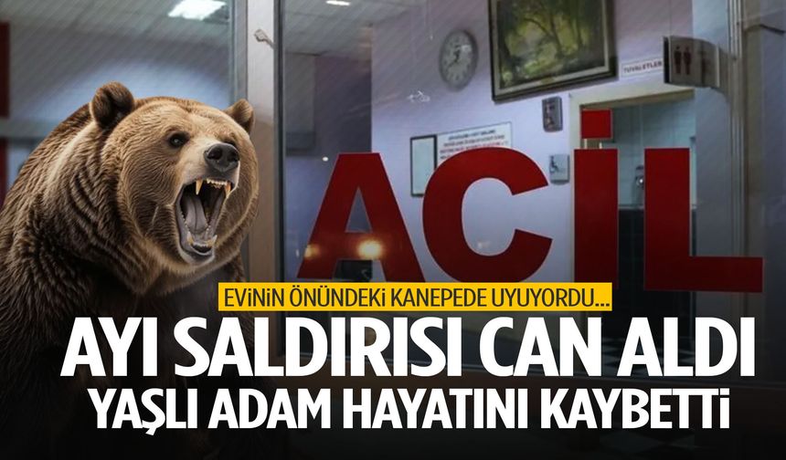 İzmir’de korkunç olay! Kanepede uyurken ayı saldırdı