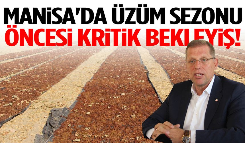 Manisa'da üzüm sezonu öncesi kritik bekleyiş!