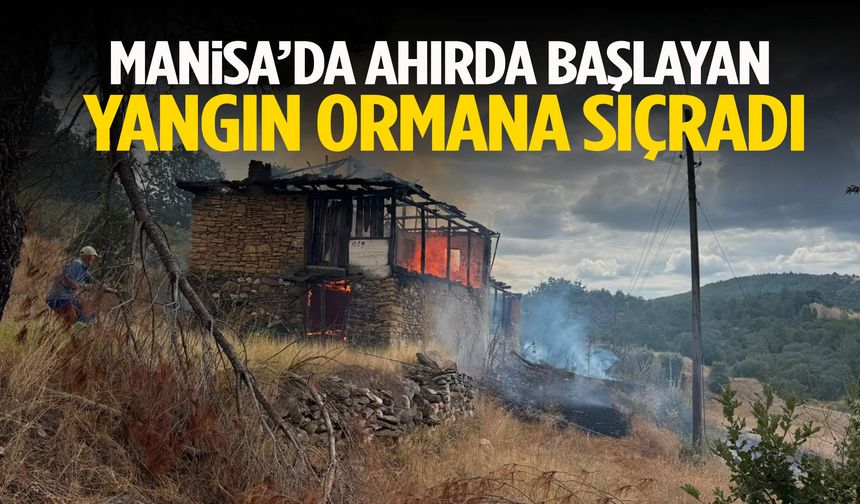 Manisa’da ahırda başlayan yangın ormana sıçradı!