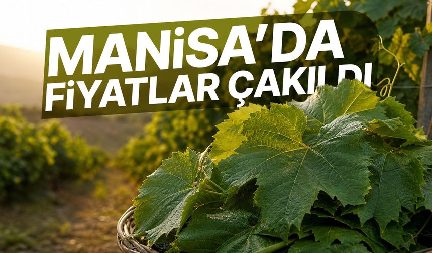 Manisa'da fiyatlar çakıldı! 35-40 lira...
