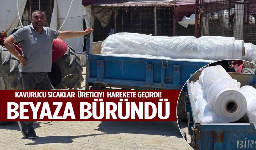 Manisa’da kavurucu sıcaklar üreticiyi harekete geçirdi! Bağlar beyaza büründü